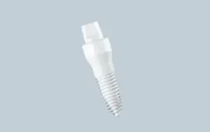 Ceramic Dental Implants